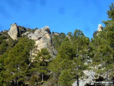 Rambla del Avellano-Arbeteta; senderismo en cazorla bosque encantado asturias parque nacional monfra